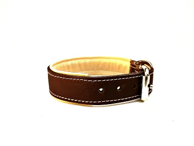 Padded Leather Collar Brown-Cream 3.5 cm wide