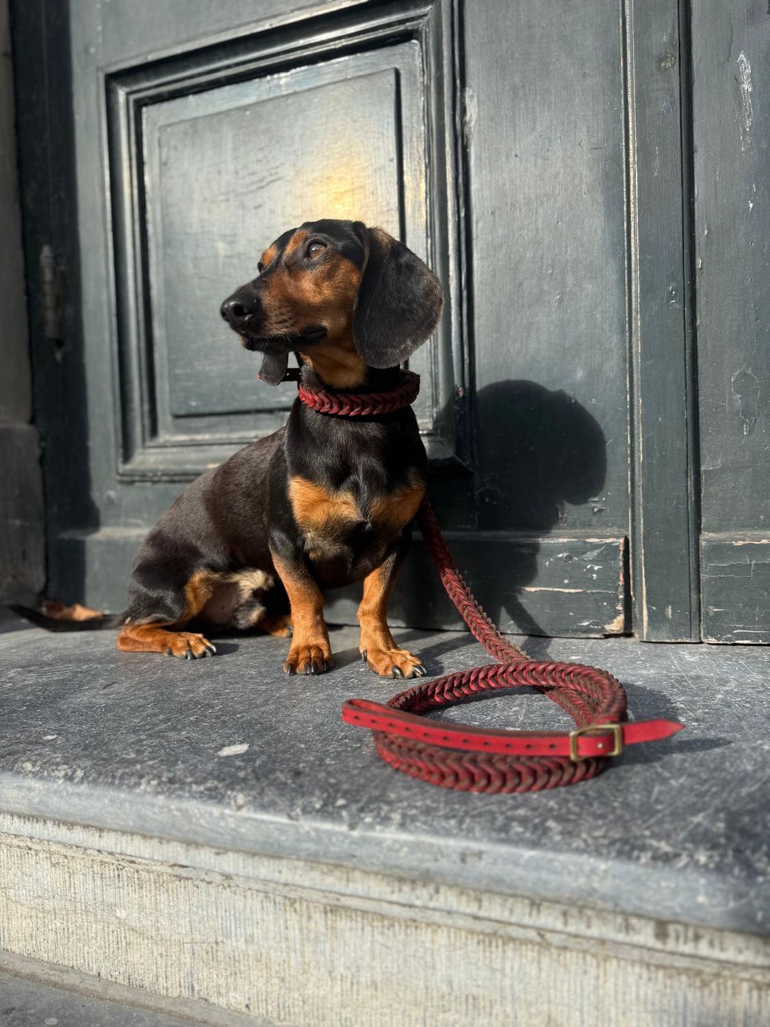 Exclusive Personalized Shoulder Leash