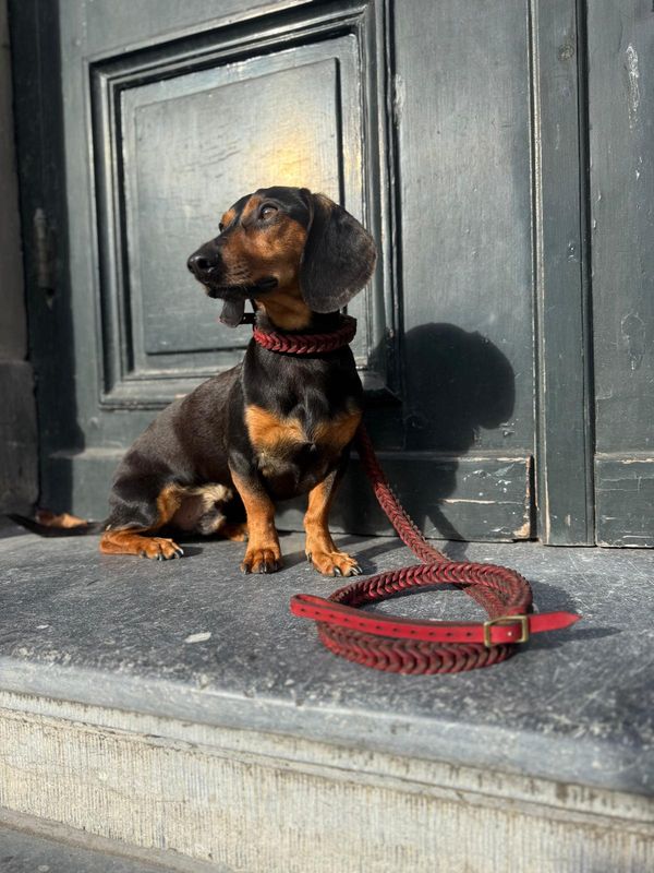 Exclusive Personalized Shoulder Leash Exclusive Personalized Shoulder Leash