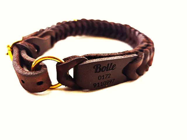 Dogcollar braided