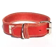 Leather collar red | 3 cm wide