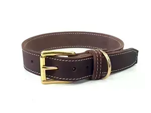 Brown Leather Collar |  3 cm wide