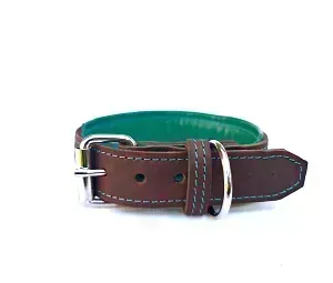 Padded Leather Collar | Brown-turquoise | 3.5 cm wide Padded Leather Collar | Brown-turquoise | 3.5 cm wide
