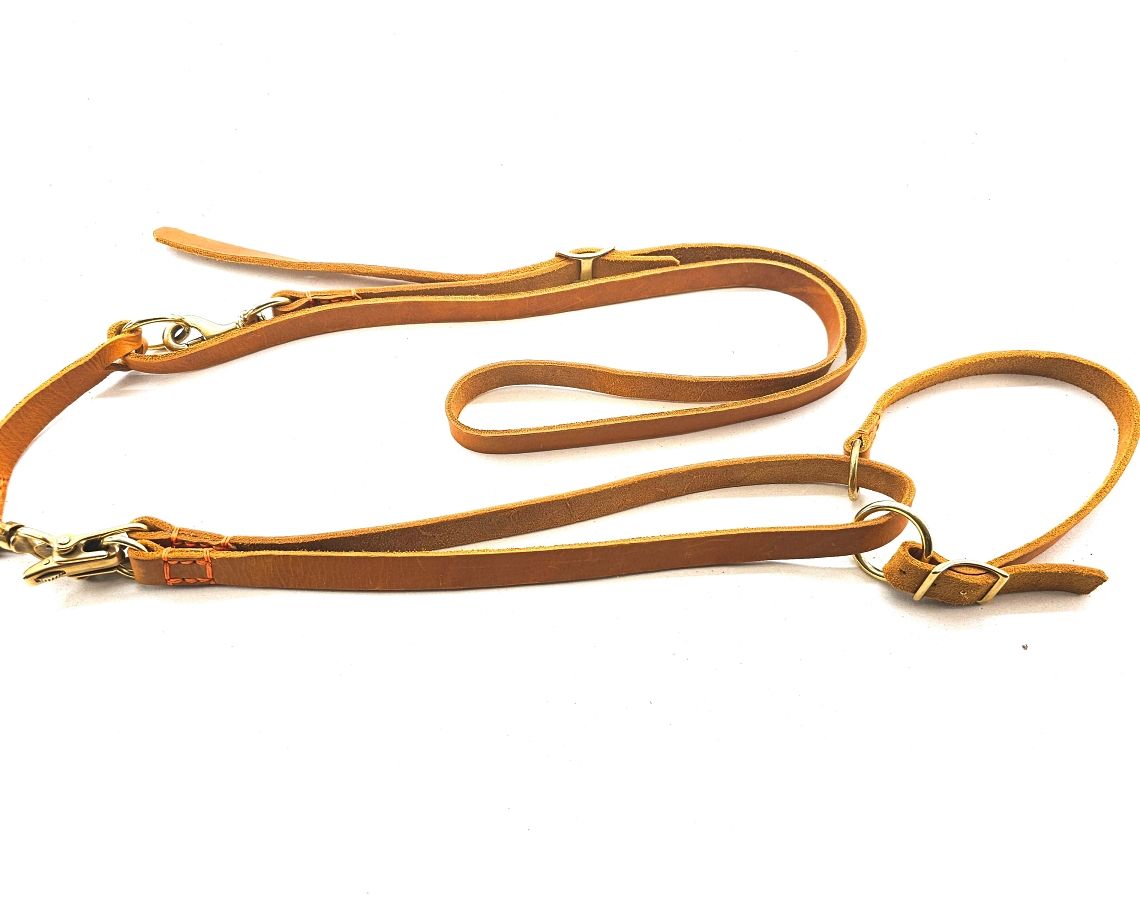 quick-release over-the-shoulder leash 2 cm wide