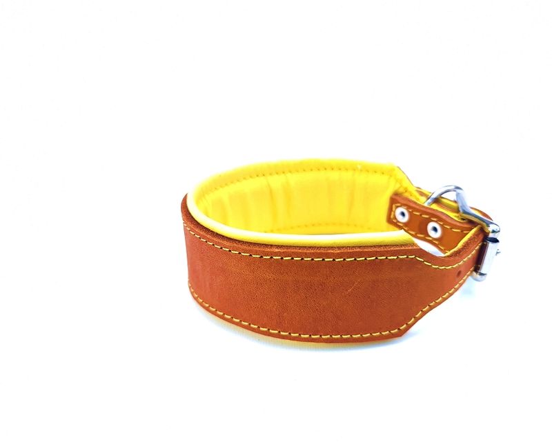 Greyhound leather collar, color color Nr cm wide