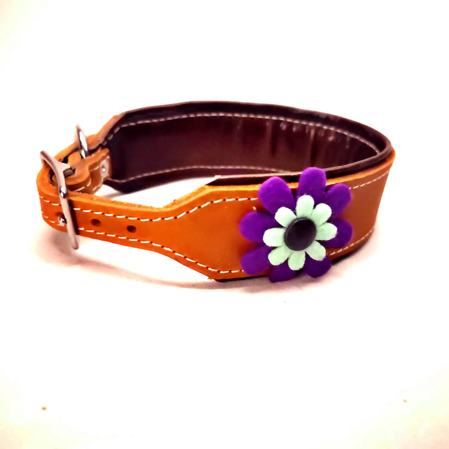 Greyhound leather collar, color color Nr cm wide