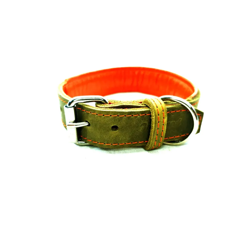 Padded Leather Collar Olive-orange 3.5 cm wide Padded Leather Collar Olive-orange 3.5 cm wide