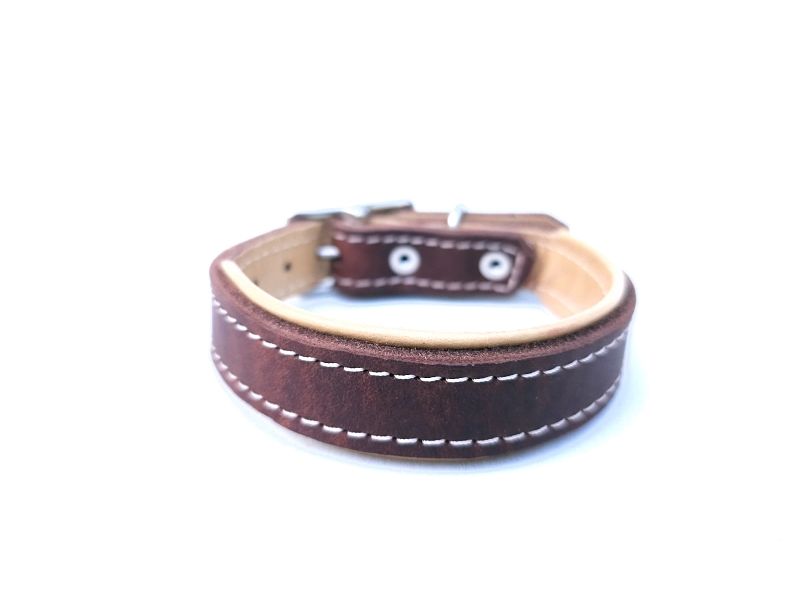 Padded Leather Dog Collar in Brown &amp; Cream – 2.5 cm Wide