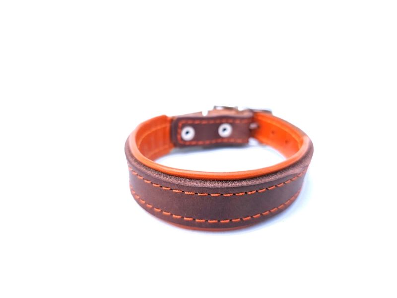 Dachshund Leather Collar in Brown &amp; Orange – 2.5 cm Wide