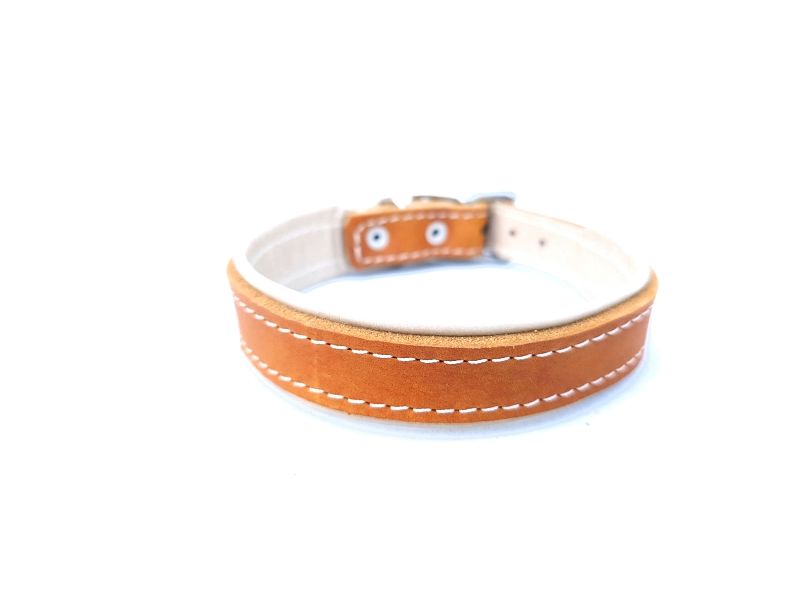 Cognac &amp; Cream Padded Leather Dog Collar – 2.5 cm Wide