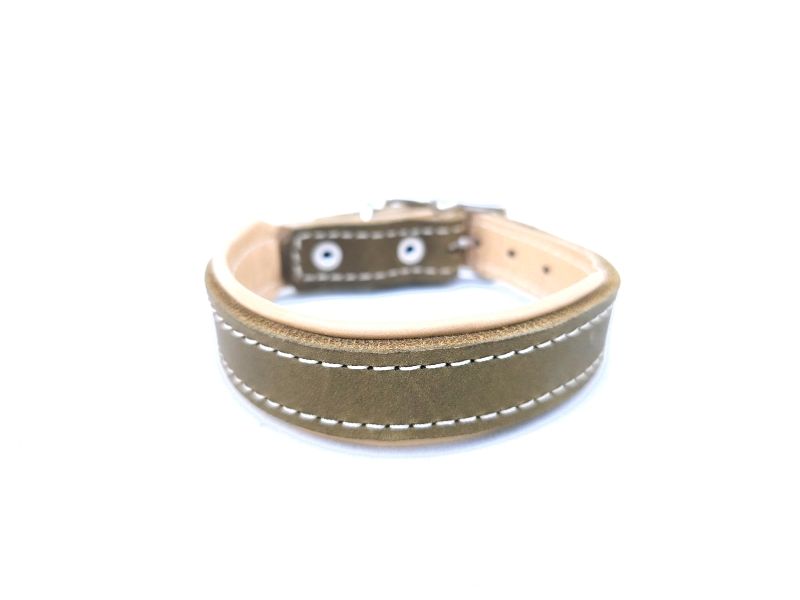 Olive &amp; Cream Padded Oiled Leather Dog Collar – 2.5 cm Wide