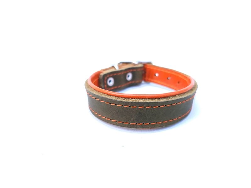 Olive &amp; Orange Padded Leather Collar for Small Dogs – 2.5 cm Wide