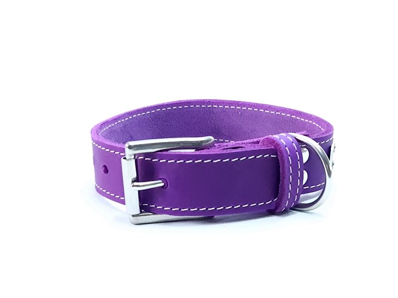 Purple Oiled Leather Dog Collar with Cream Stitching – 3 cm Wid