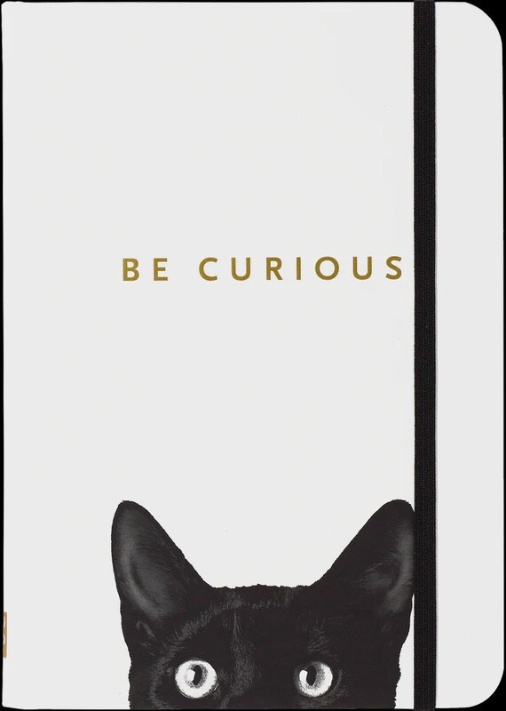 curious cat journal