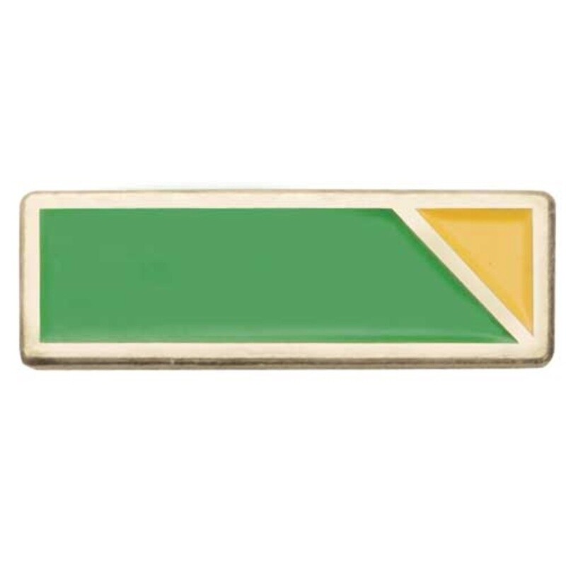 Ambassador Service To Girl Scouting Bar