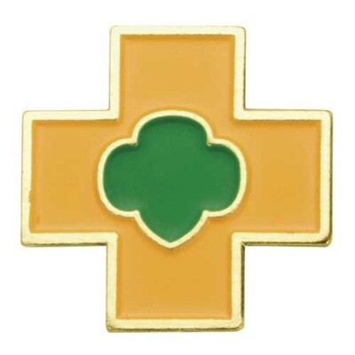 Ambassador Safety Award Pin