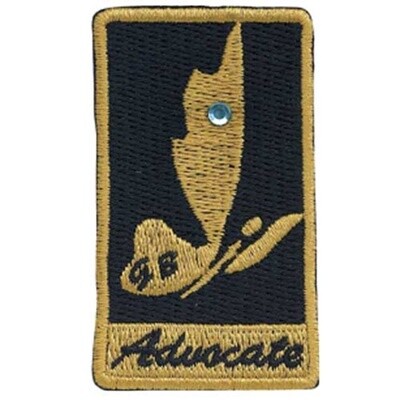 Ambassador Your Voice, Your World Journey Award Advocate Patch