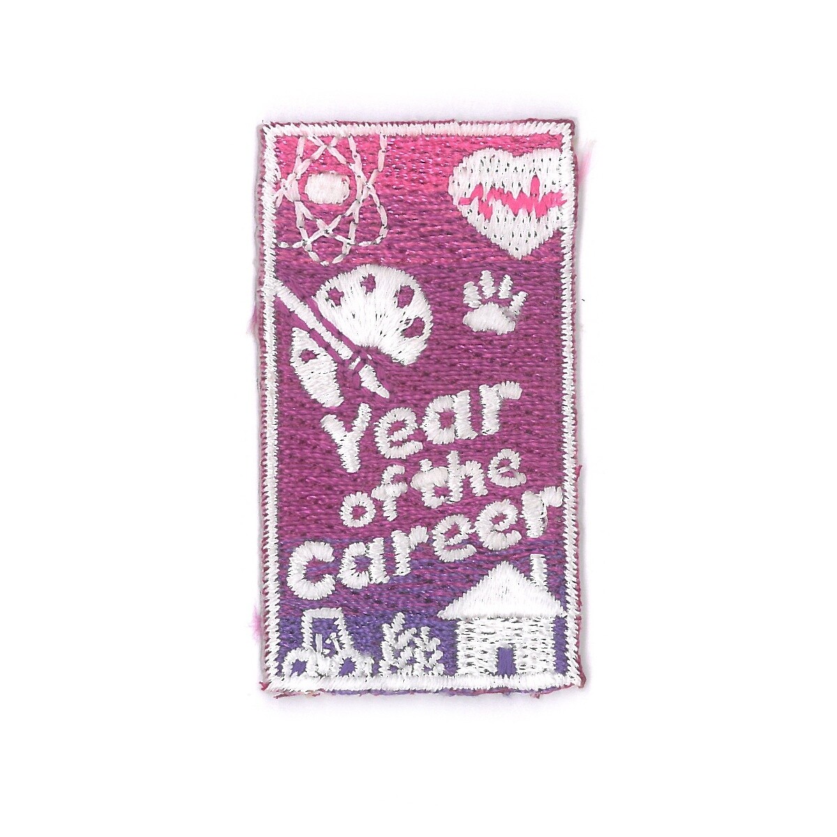 GSEIWI Year of the Career Patch