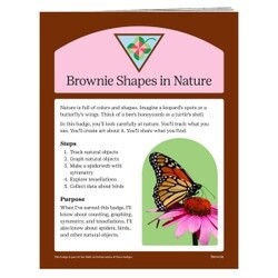 Brownie Shapes In Nature Badge Requirements