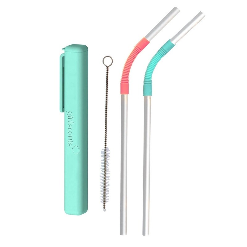 Girl Scout Stainless Steel Straw - 2 Pack