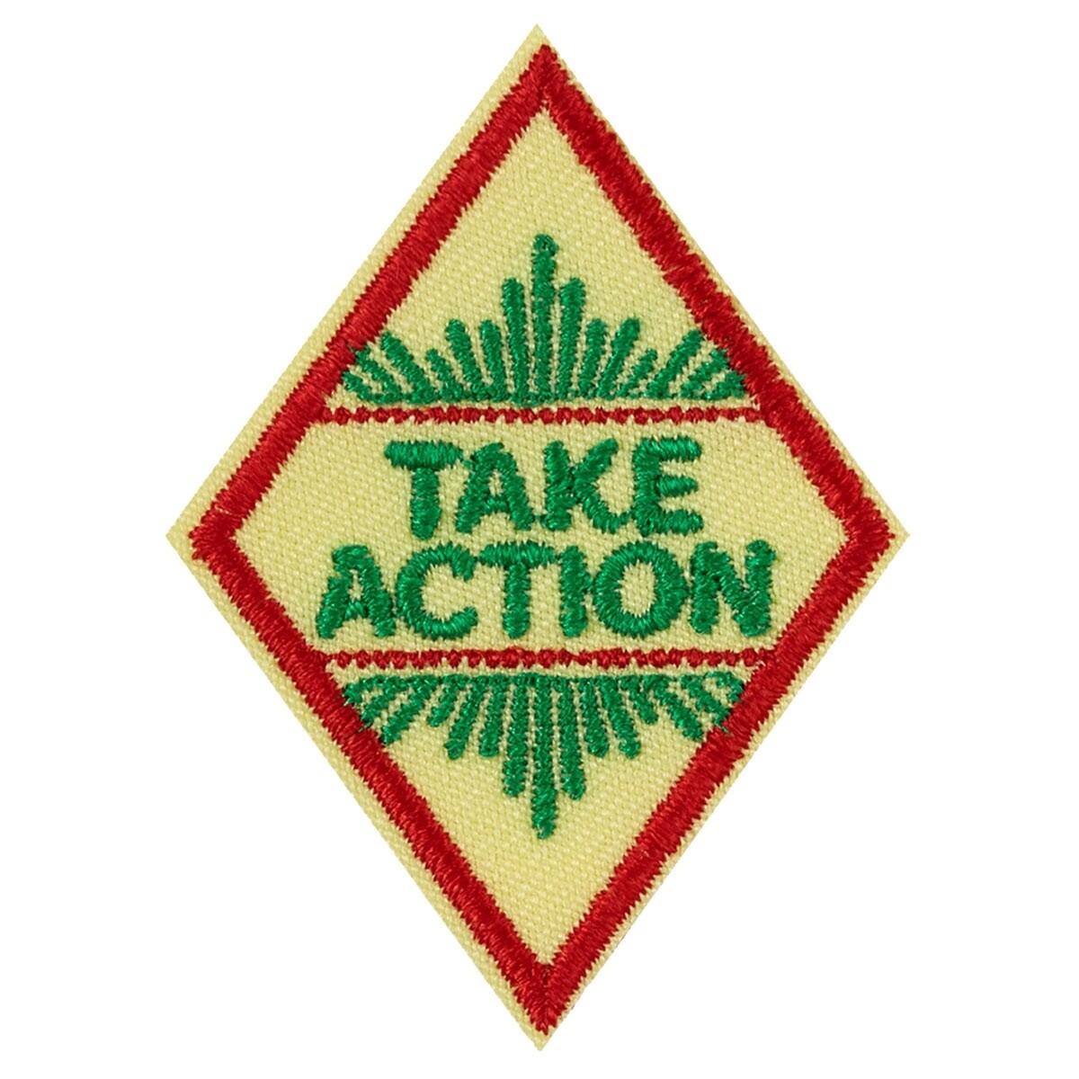 Cadette Take Action Award Badge