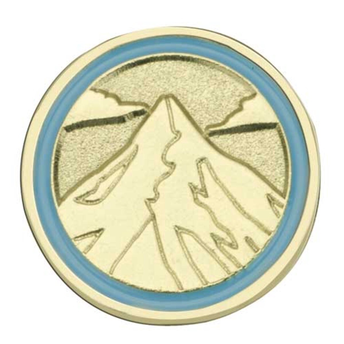 Daisy Journey Summit Award Pin