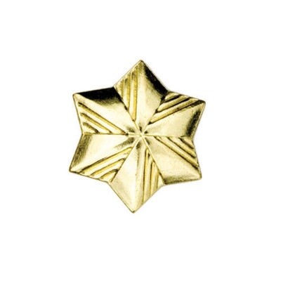 Girl Scout Membership Star