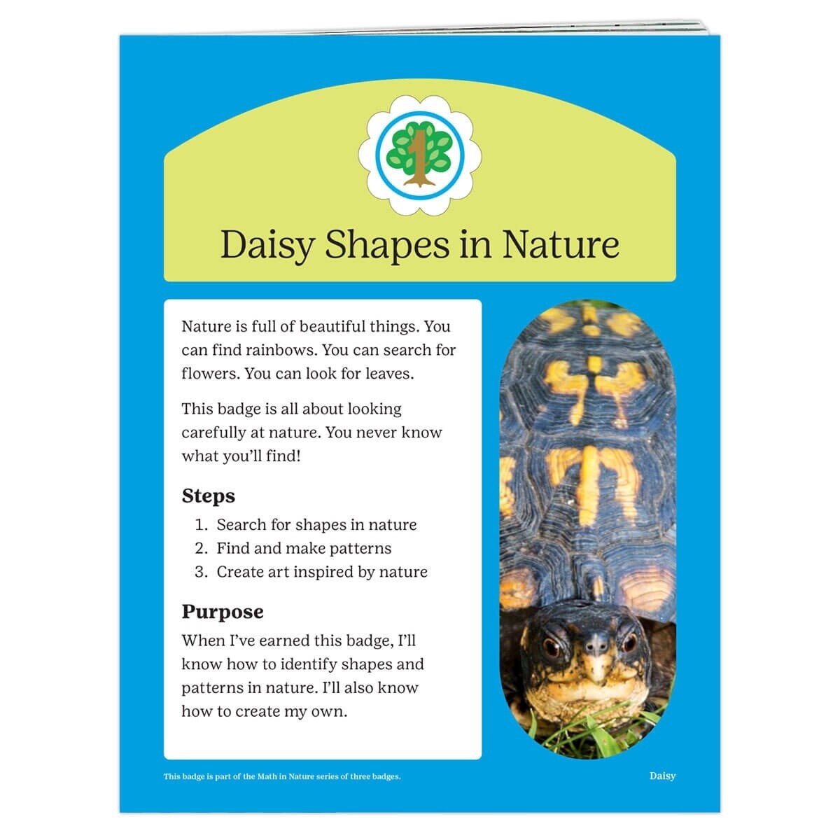 Daisy Shapes In Nature Badge Requirements