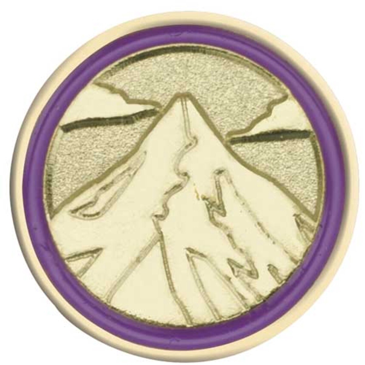 Junior Journey Summit Award Pin