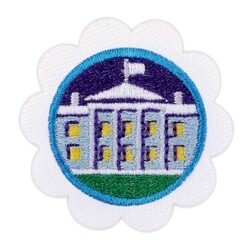 Democracy For Daisies Badge