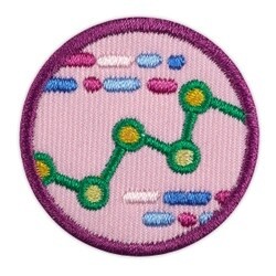 Junior Think Like A Programmer Award Badge