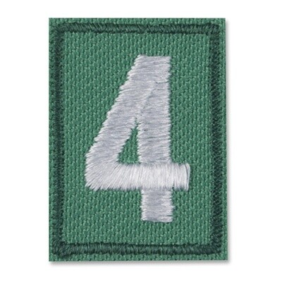 Multilevel Girl Scout Troop Numeral