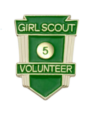Volunteer Service Award Pin