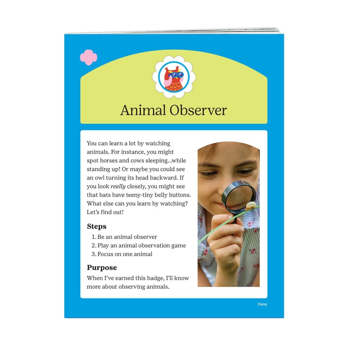 Daisy Animal Observer Badge Requirements