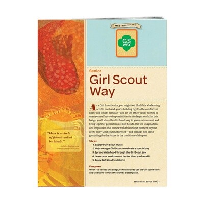 Used Senior Girl Scout Way Badge Requirements