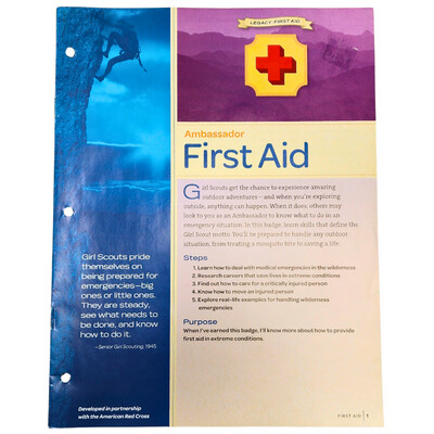Used Ambassador First Aid Badge Requirements
