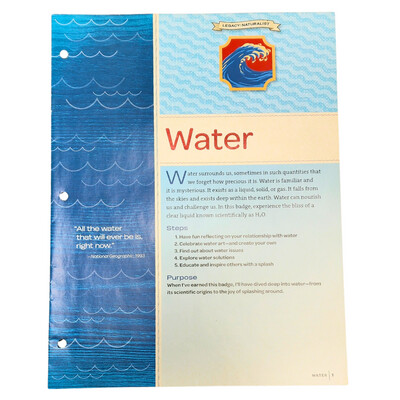 Used Ambassador Water Badge Requirements