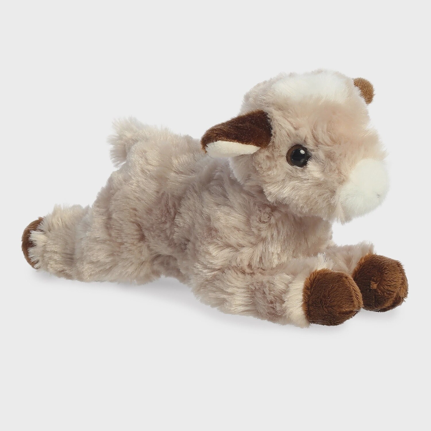 Paisley Goat