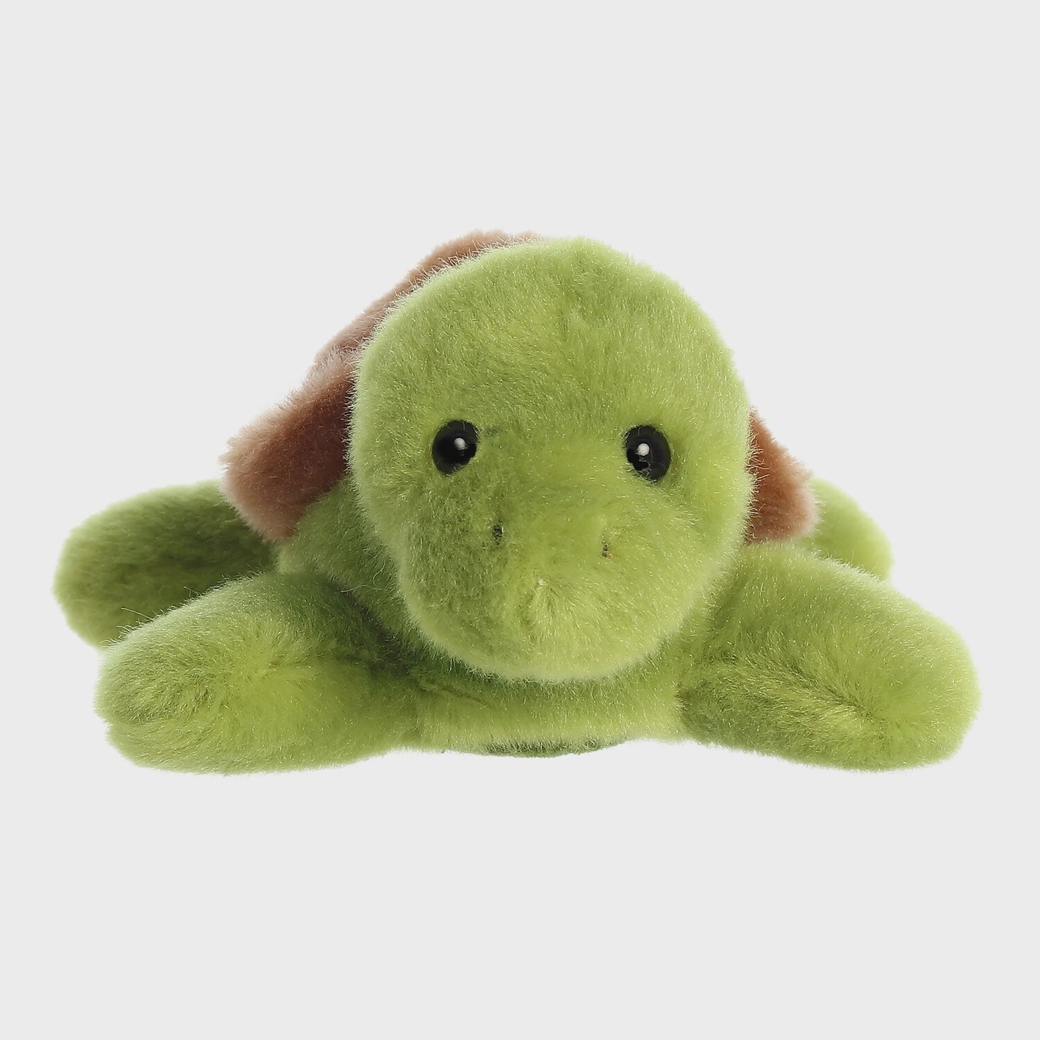 Tal Turtle