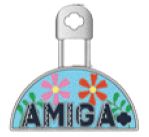 Amiga Personal Pin