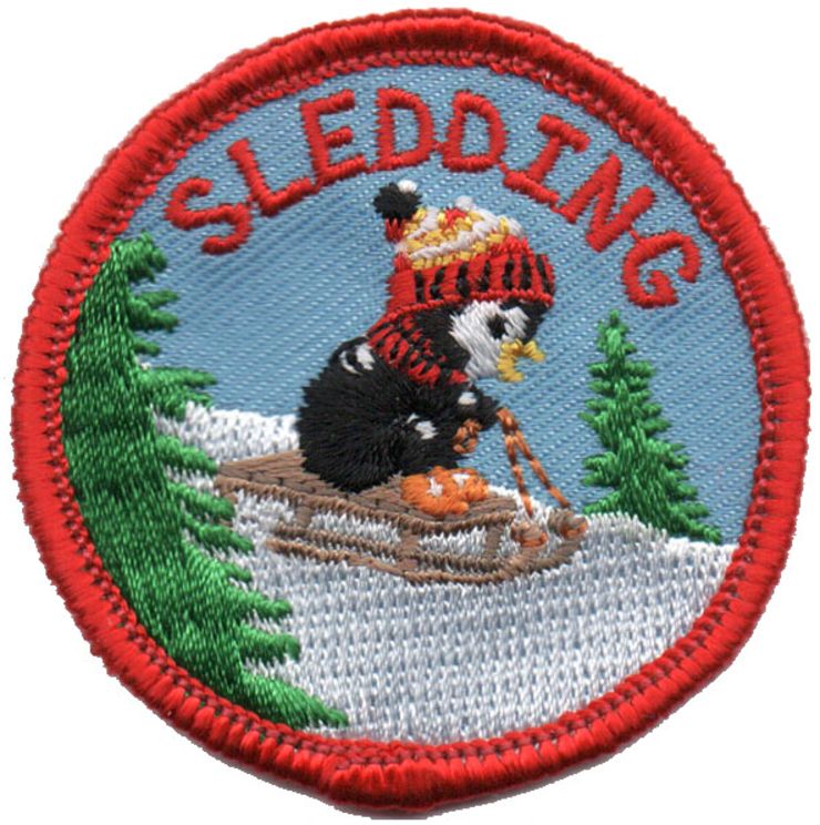 Sledding Fun Patch