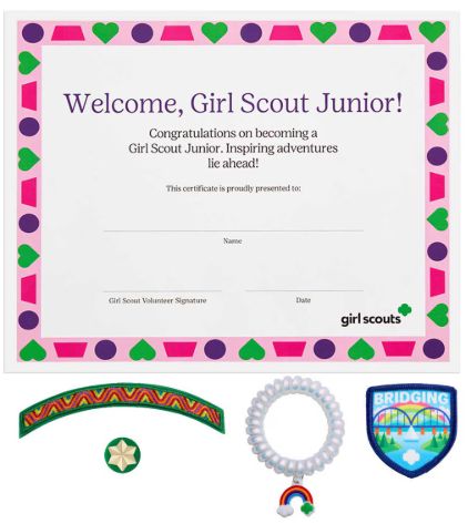 New Bridge to Junior Kit