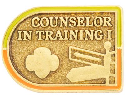 Counselor in Training I Award Pin