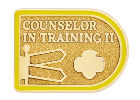 Counselor in Training II Award Pin