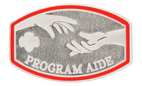 Program Aide Award Pin