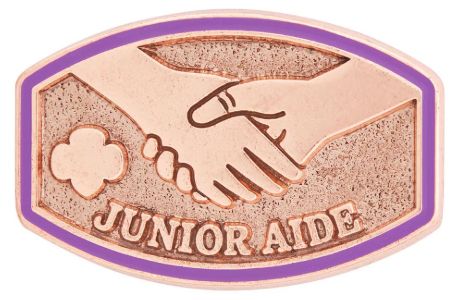 New Junior Aide Award Pin