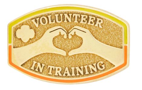 Volunteer in Training Award Pin