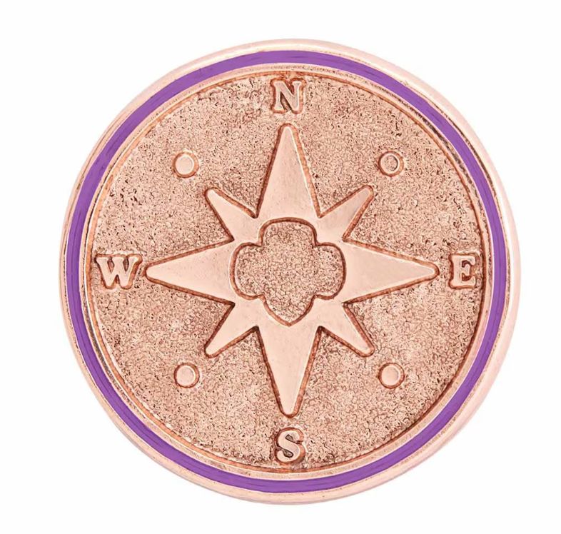 Junior True North Award Pin