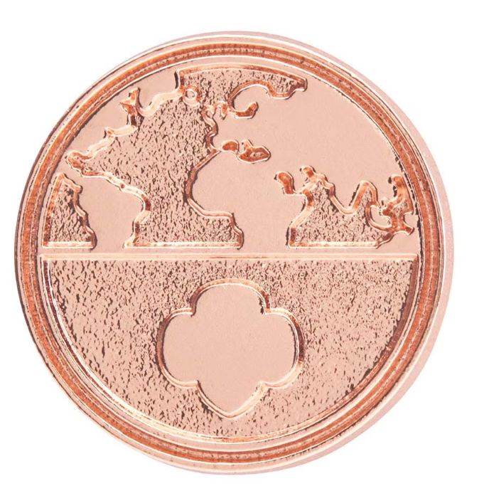 Global Action Award Pin