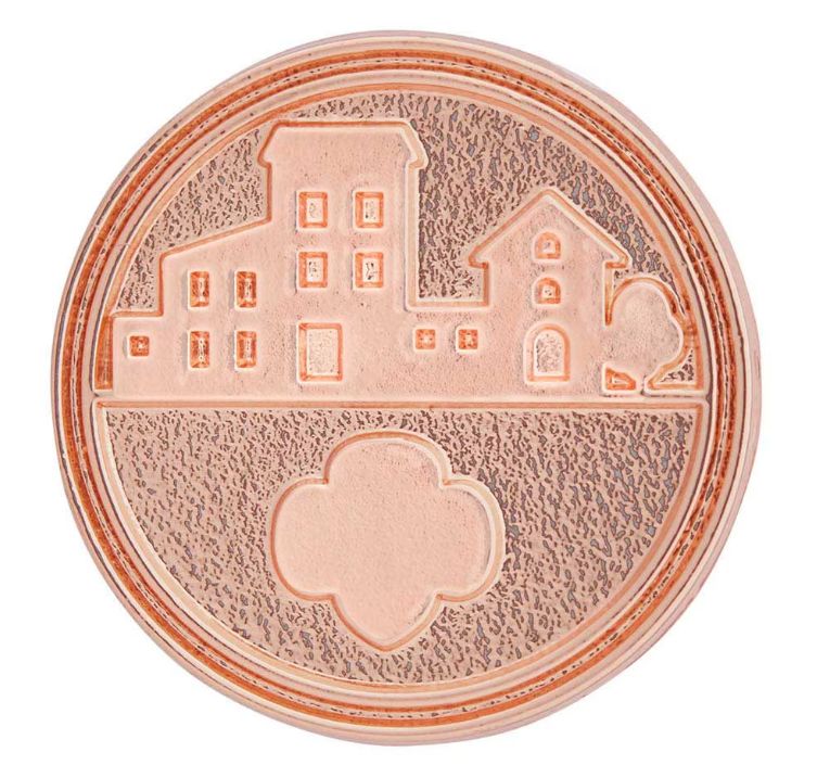 Take Action Award Pin